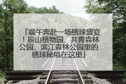 端午奔赴一场绣球盛宴！辰山植物园、共青森林公园、滨江森林公园里的绣球秘境在这里