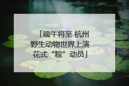 端午将至 杭州野生动物世界上演花式“粽”动员