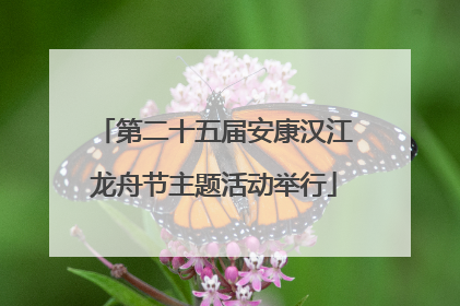 第二十五届安康汉江龙舟节主题活动举行