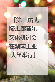 第二届武陵走廊音乐文化研讨会在湖南工业大学举行