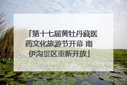 第十七届黄牡丹藏医药文化旅游节开幕 南伊沟景区重新开放