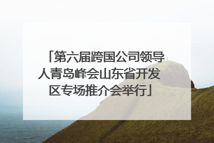 第六届跨国公司领导人青岛峰会山东省开发区专场推介会举行