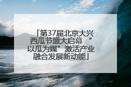 第37届北京大兴西瓜节盛大启幕 “以瓜为媒”激活产业融合发展新动能