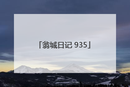 翁城日记 935