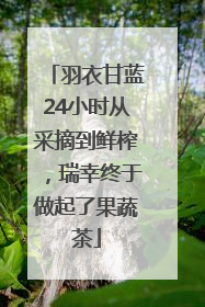 羽衣甘蓝24小时从采摘到鲜榨，瑞幸终于做起了果蔬茶