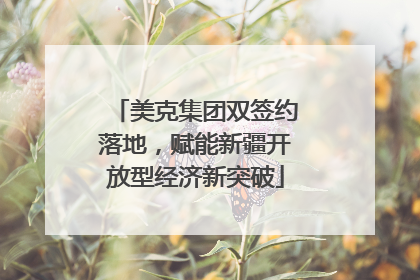 美克集团双签约落地，赋能新疆开放型经济新突破