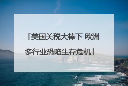 美国关税大棒下 欧洲多行业恐陷生存危机
