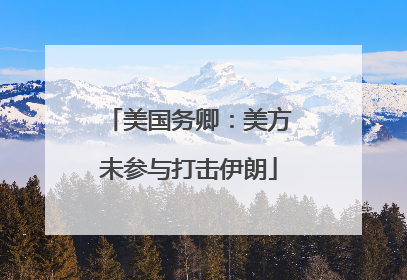 美国务卿：美方未参与打击伊朗