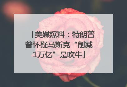 美媒爆料：特朗普曾怀疑马斯克“削减1万亿”是吹牛