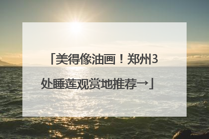 美得像油画！郑州3处睡莲观赏地推荐→