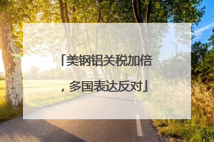 美钢铝关税加倍，多国表达反对