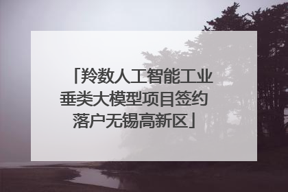 羚数人工智能工业垂类大模型项目签约落户无锡高新区