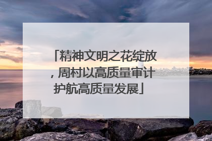 精神文明之花绽放，周村以高质量审计护航高质量发展