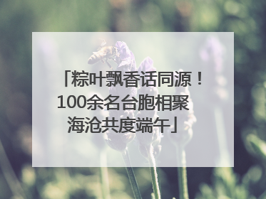 粽叶飘香话同源！100余名台胞相聚海沧共度端午
