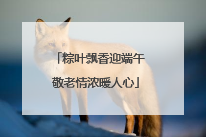 粽叶飘香迎端午 敬老情浓暖人心