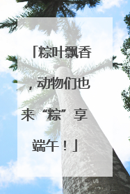 粽叶飘香，动物们也来“粽”享端午！