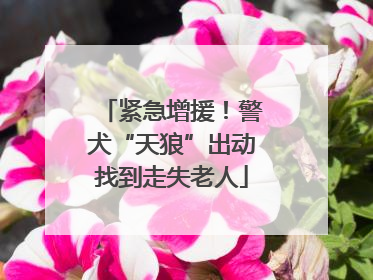 紧急增援！警犬“天狼”出动找到走失老人