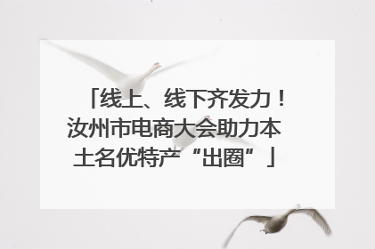 线上、线下齐发力！汝州市电商大会助力本土名优特产“出圈”