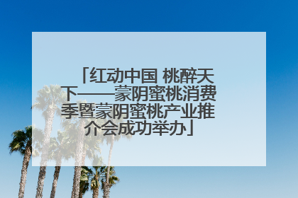 红动中国 桃醉天下——蒙阴蜜桃消费季暨蒙阴蜜桃产业推介会成功举办