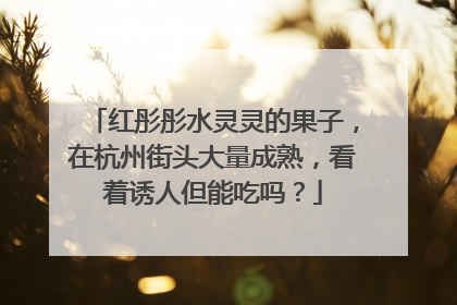红彤彤水灵灵的果子，在杭州街头大量成熟，看着诱人但能吃吗？