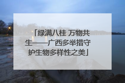 绿满八桂 万物共生——广西多举措守护生物多样性之美