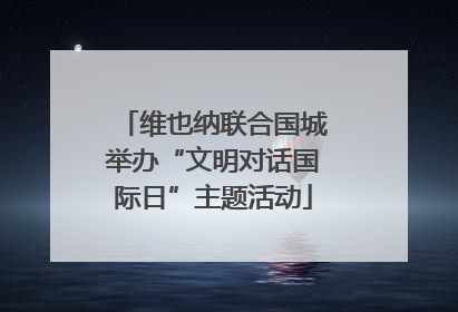 维也纳联合国城举办“文明对话国际日”主题活动