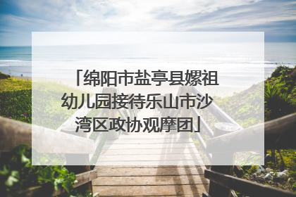 绵阳市盐亭县嫘祖幼儿园接待乐山市沙湾区政协观摩团