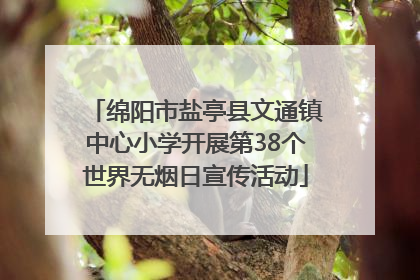 绵阳市盐亭县文通镇中心小学开展第38个世界无烟日宣传活动