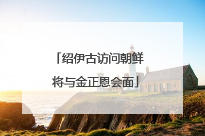 绍伊古访问朝鲜 将与金正恩会面