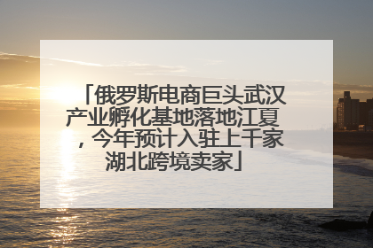 俄罗斯电商巨头武汉产业孵化基地落地江夏，今年预计入驻上千家湖北跨境卖家