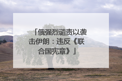 俄强烈谴责以袭击伊朗：违反《联合国宪章》