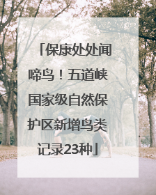保康处处闻啼鸟！五道峡国家级自然保护区新增鸟类记录23种