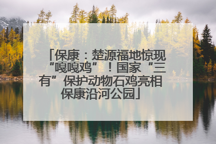 保康：楚源福地惊现“嘎嘎鸡”！国家“三有”保护动物石鸡亮相保康沿河公园
