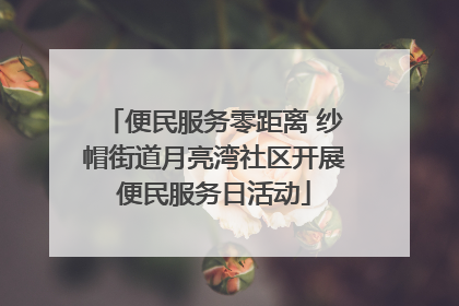 便民服务零距离 纱帽街道月亮湾社区开展便民服务日活动