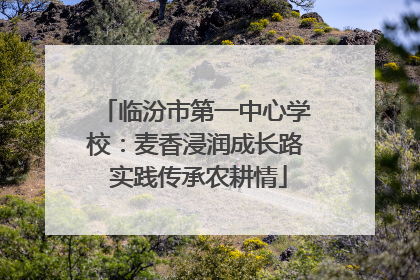 临汾市第一中心学校：麦香浸润成长路 实践传承农耕情
