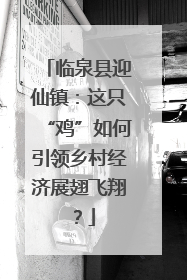 临泉县迎仙镇：这只“鸡”如何引领乡村经济展翅飞翔？
