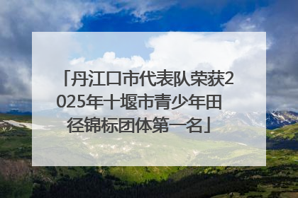 丹江口市代表队荣获2025年十堰市青少年田径锦标团体第一名