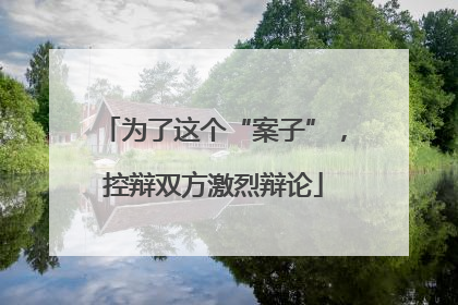 为了这个“案子”，控辩双方激烈辩论