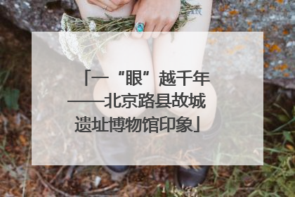 一“眼”越千年——北京路县故城遗址博物馆印象