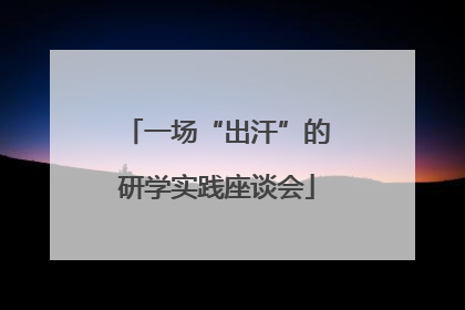 一场“出汗”的研学实践座谈会