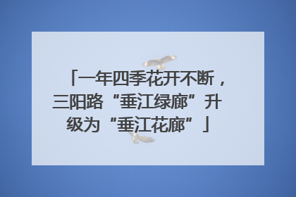 一年四季花开不断，三阳路“垂江绿廊”升级为“垂江花廊”