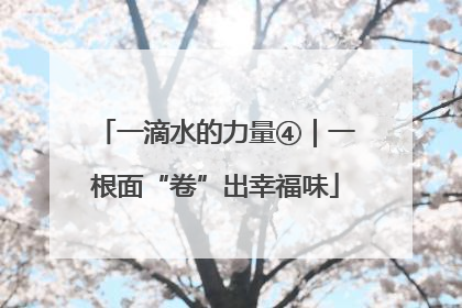 一滴水的力量④｜一根面“卷”出幸福味