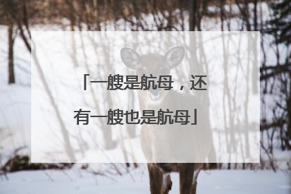 一艘是航母，还有一艘也是航母