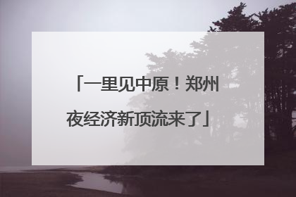 一里见中原！郑州夜经济新顶流来了