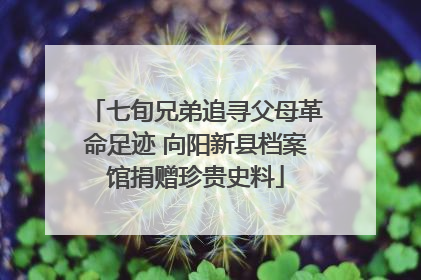 七旬兄弟追寻父母革命足迹 向阳新县档案馆捐赠珍贵史料