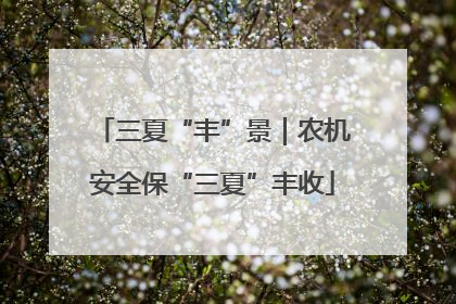 三夏“丰”景｜农机安全保“三夏”丰收