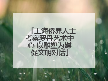 上海侨界人士考察罗丹艺术中心 以雕塑为媒促文明对话