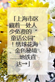 上海市区藏着一处人少免费的“童话公园”！绣球花海、金色秘境……地铁直达→