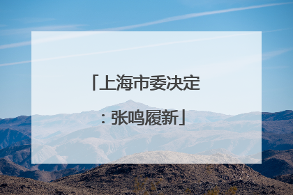 上海市委决定：张鸣履新
