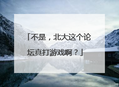 不是，北大这个论坛真打游戏啊？